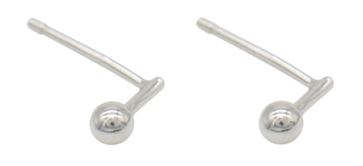 D-B2.1 SE104-520 925S Silver Earrings Stud