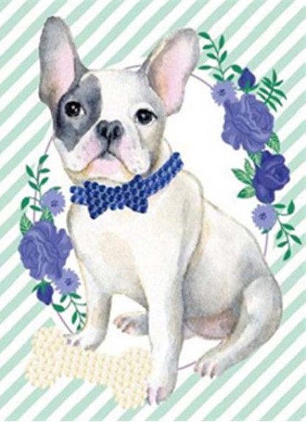 L-A2.2 HKAB1066-1 Diamond Painting Post Card Set 15x10cm Dog