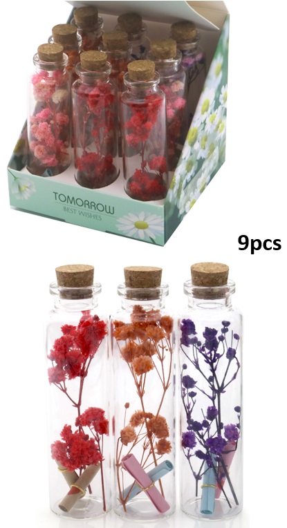 R-G7.1 C955-001 Dry Flowers 9.5cm in Glass Tube 9pcs