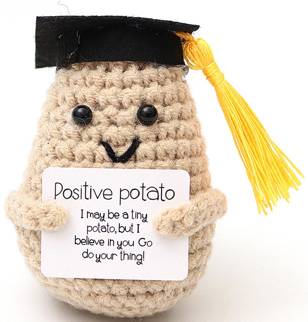 R-B4.1 T2405-041 Positive Student 7cm