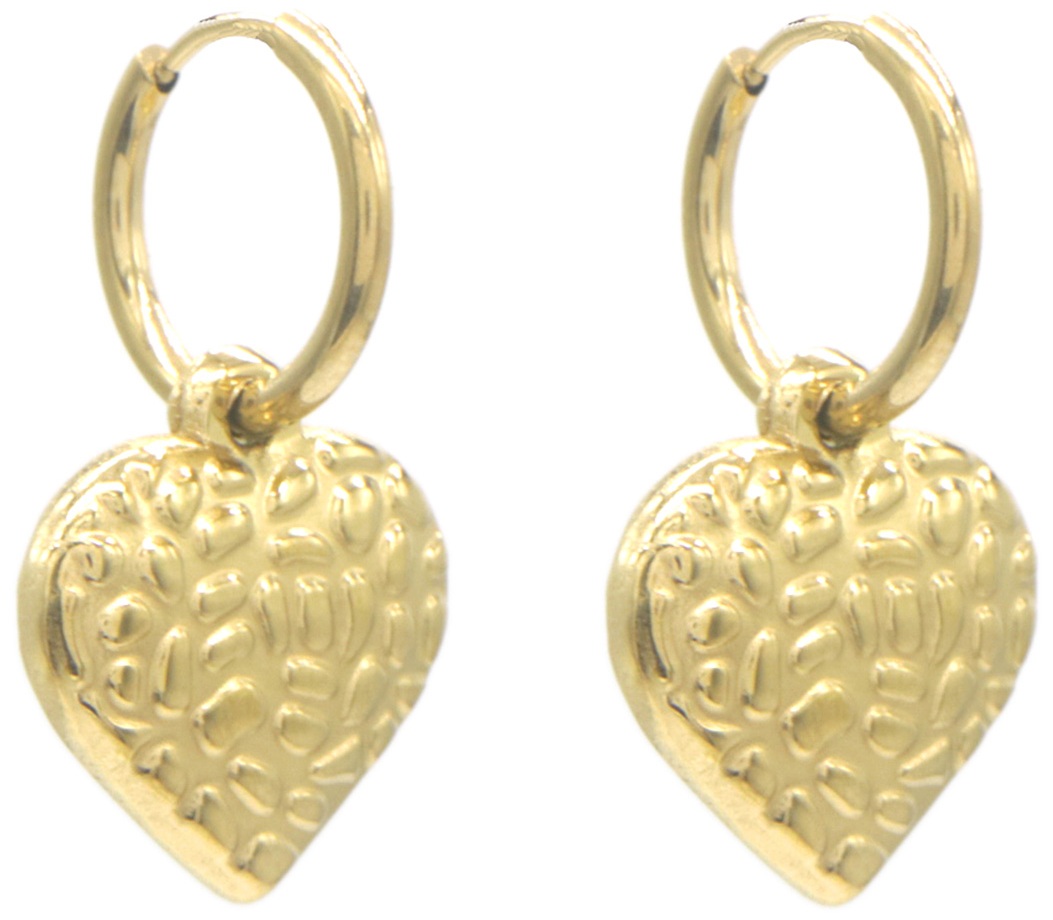 H-B18.3  E2567-008G S. Steel Earrings Heart 2.5 x1cm