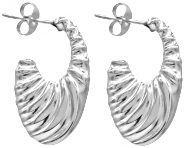 C-E6.4 E68-014S S. Steel Earrings 2.5cm