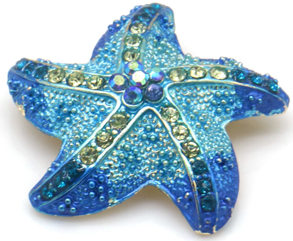 E-D16.1 P1035-028 Brooch Starfish 4cm
