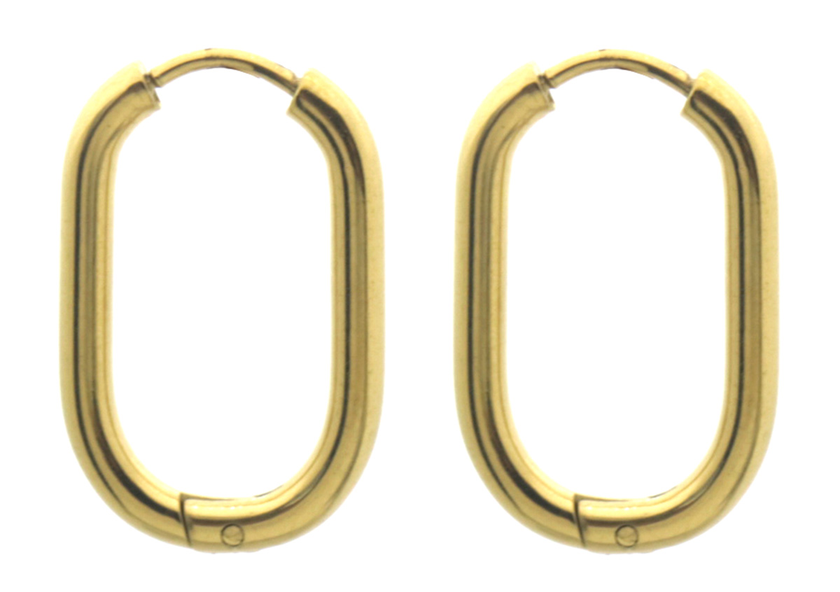 D-A5.2 E2551-003G S. Steel Earrings 2x1.2cm