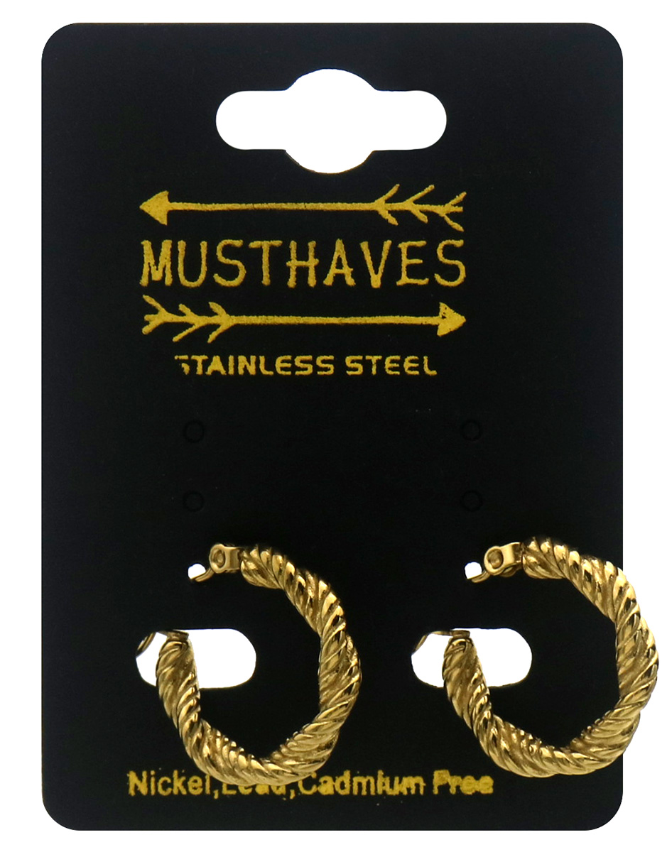 D-C5.1  E1134-003G S. Steel Earrings 1.5cm