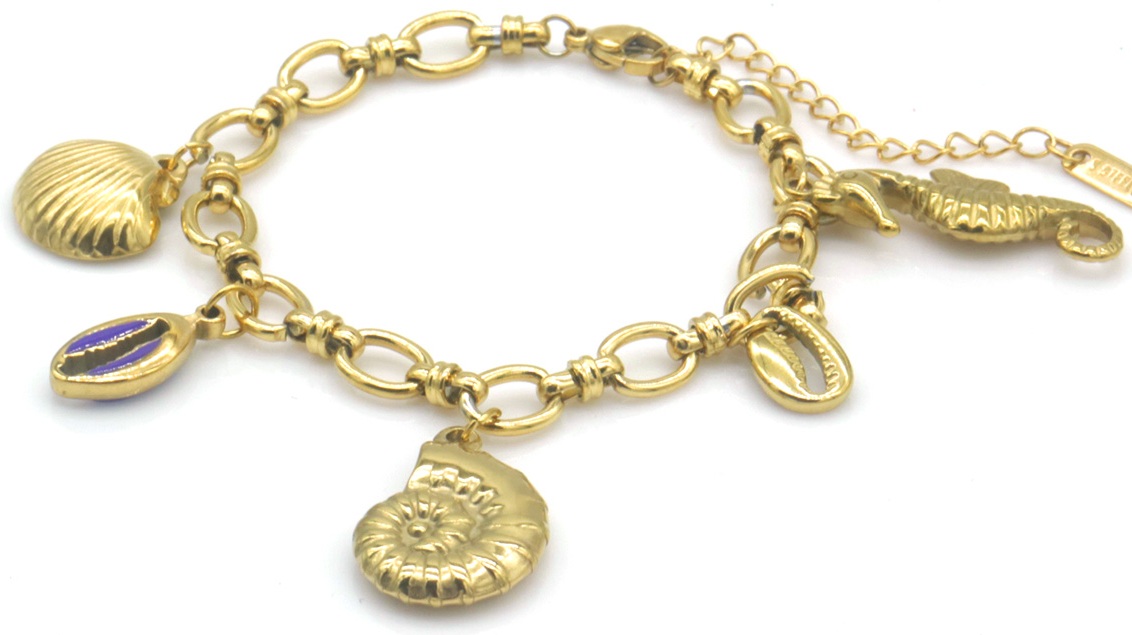 F-C22.3  B2567-087G S. Steel Bracelet Shell 16-21cm