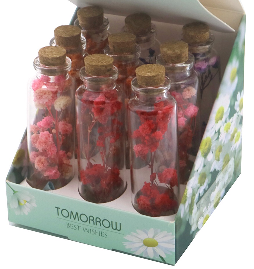 R-G7.1 C955-001 Dry Flowers 9.5cm in Glass Tube 9pcs