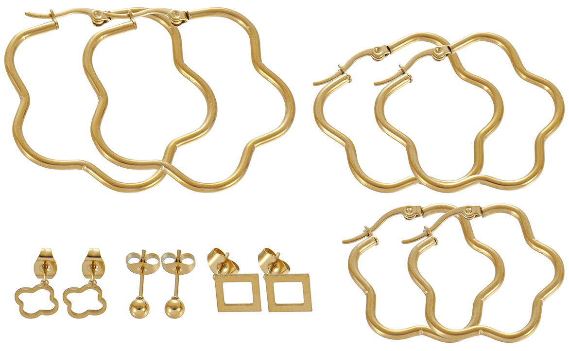 C-F23.1 E1131-136G S. Steel Earring Set 6 Pairs