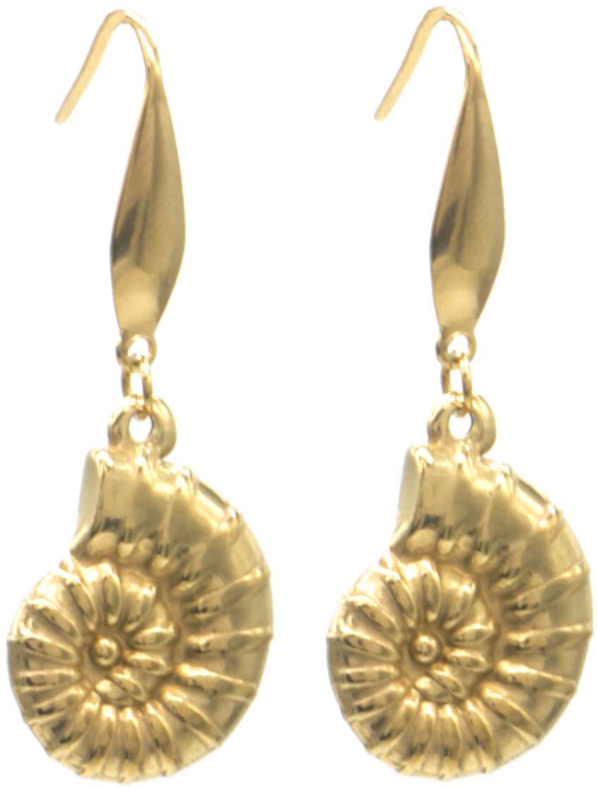 B-D5.1 E1033-008G S. Steel Earrings Shell 4cm