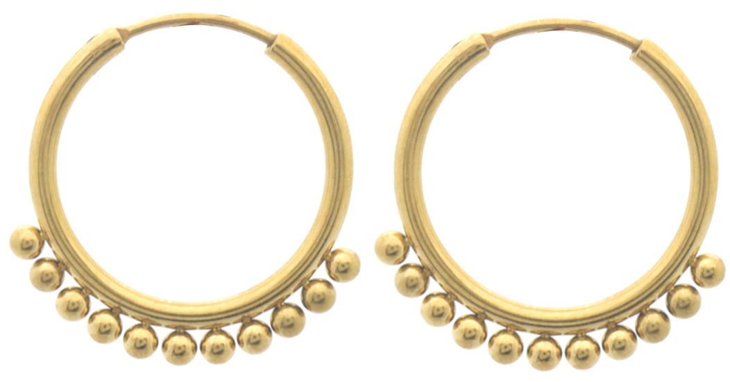 H-A20.4 E074-036G S. Steel Earrings 2.2cm
