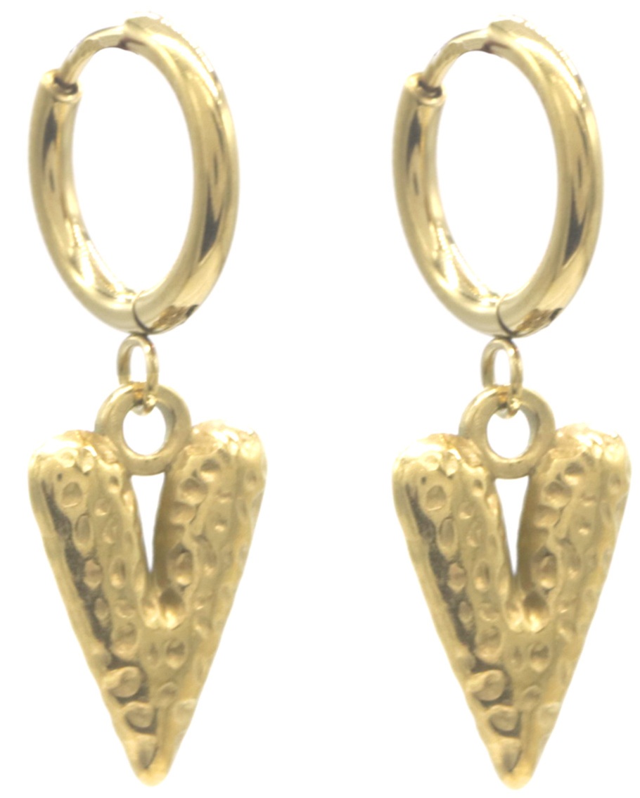 A-D18.5 E103-286G S. Steel Earrings Heart 3.2x1cm