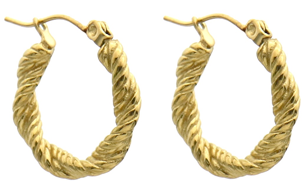 D-C5.1  E1134-003G S. Steel Earrings 1.5cm