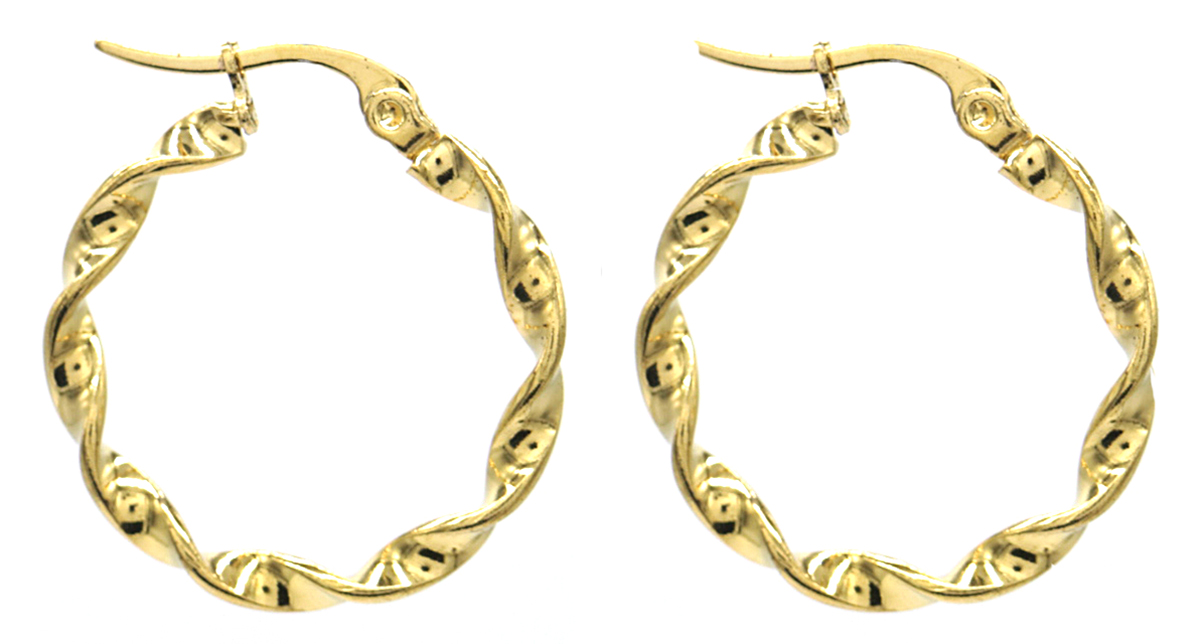 B-E18.3  E015-005G S. Steel Earrings Twisted 2.5cm