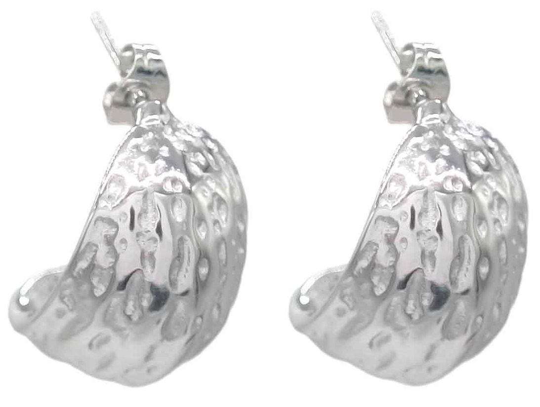 D-C6.1 E103-120S S. Steel Earrings 2.5cm